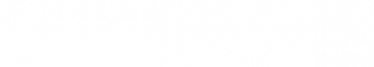 Distribuidora de Lácteos, Carnes y Salsas, S.A. de C.V. - Logo